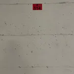 Sonne, Und Mehr شقة نيسيبار